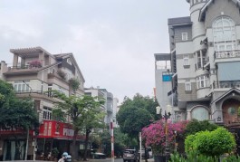NGộp MT KHu Họ Lê  -Tân PHú 60m2 - 5 tầng mới LG 12m Kinh Doanh